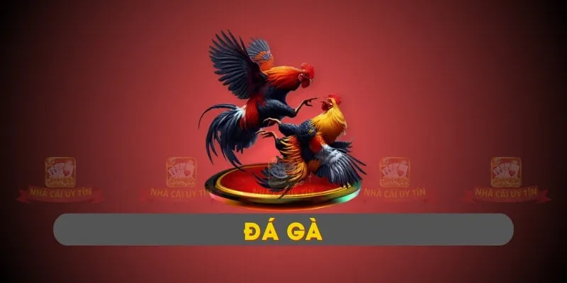 Đá gà trực tuyến