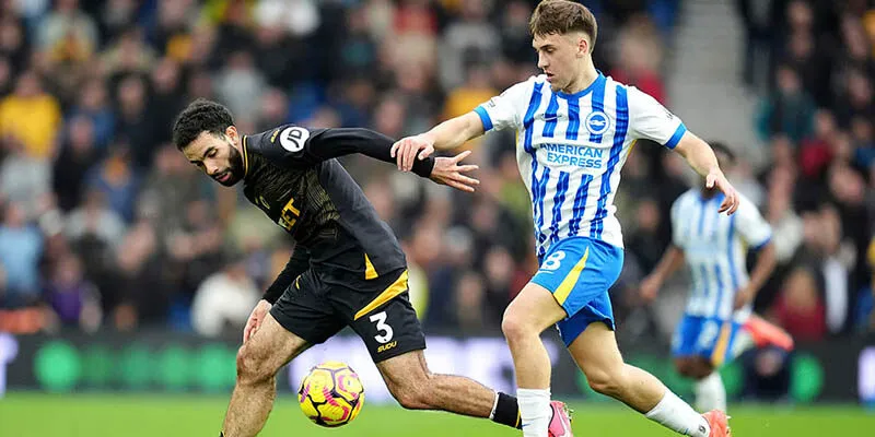 Nhận định trận đấu Wolves vs Brighton chi tiết Nhận định trận đấu Wolves vs Brighton chi tiết
